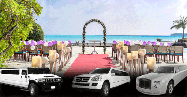 Wedding Limousine Service San Francisco BNG Limousine Wedding Limousine Service San Francisco