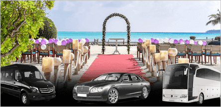 Wedding Limousine Service San Francisco BNG Limousine Wedding Limousine Service San Francisco